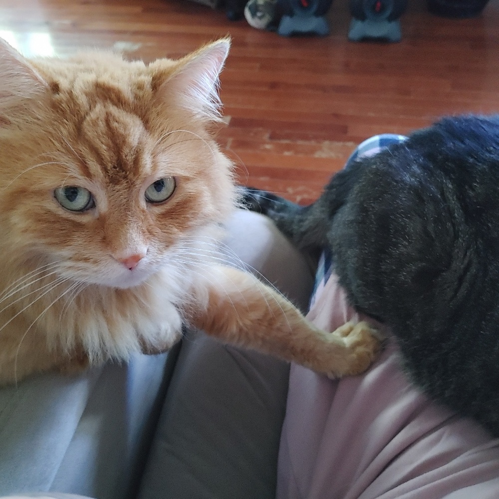 Meet your Posher, Mary-beth